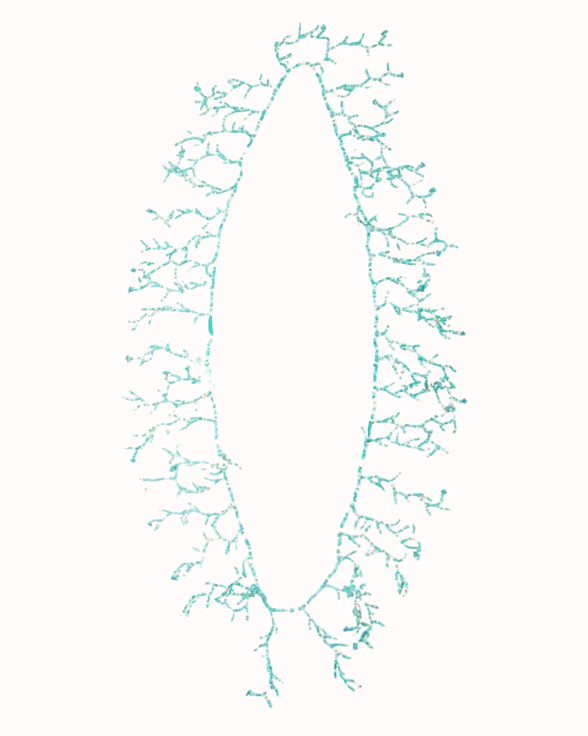 LONG NECKLACE IN TURQUOISE